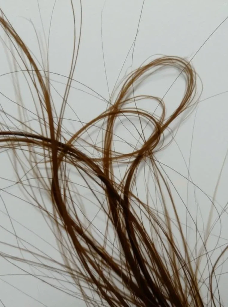 Cabello frágil teñido con tinte castaño suave sin amoníaco.