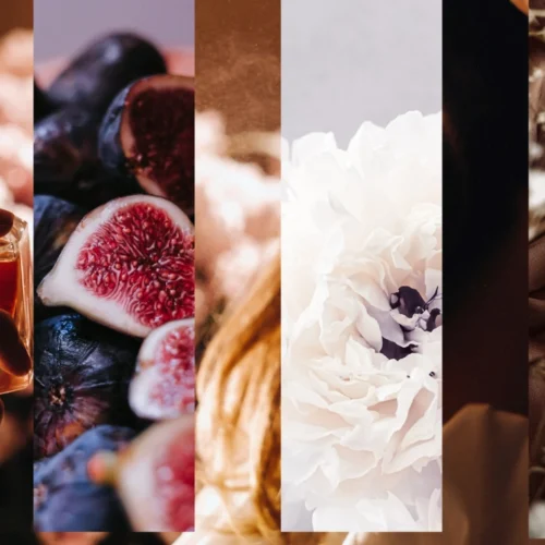 Perfumes Carolina Herrera para mujer: guía completa de fragancias icónicas y nuevos lanzamientos como La Bomba