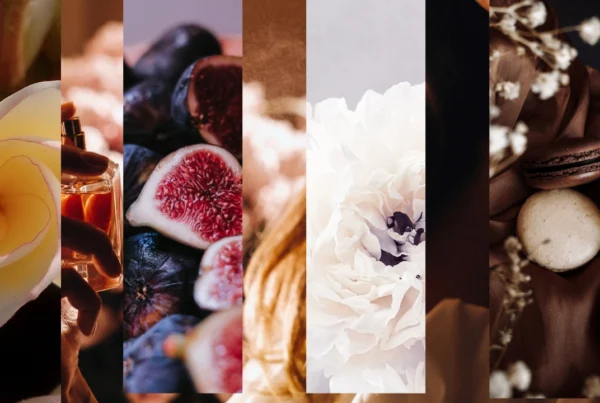 Perfumes Carolina Herrera para mujer: guía completa de fragancias icónicas y nuevos lanzamientos como La Bomba