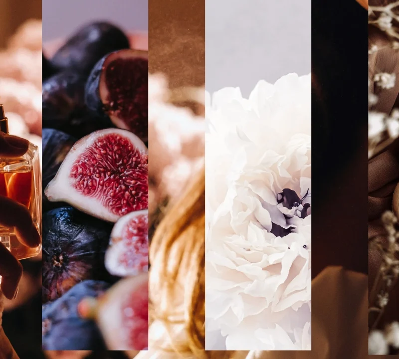 Perfumes Carolina Herrera para mujer: guía completa de fragancias icónicas y nuevos lanzamientos como La Bomba