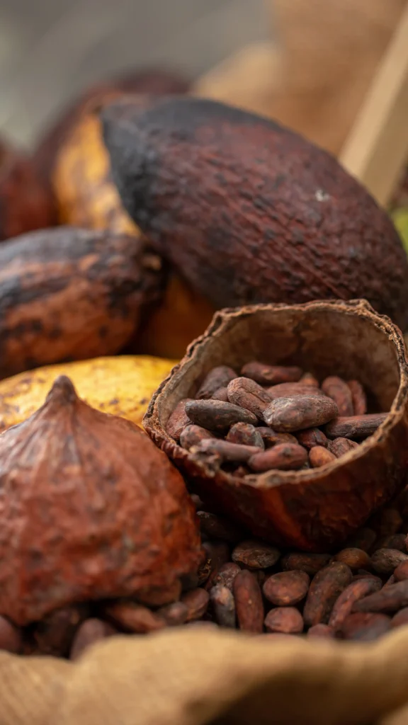 Granos naturales mostrando las propiedades del cacao desde su origen.