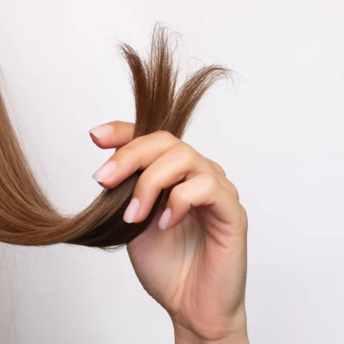 Detalle de un mechón de cabello con puntas abiertas visibles en las hebras.