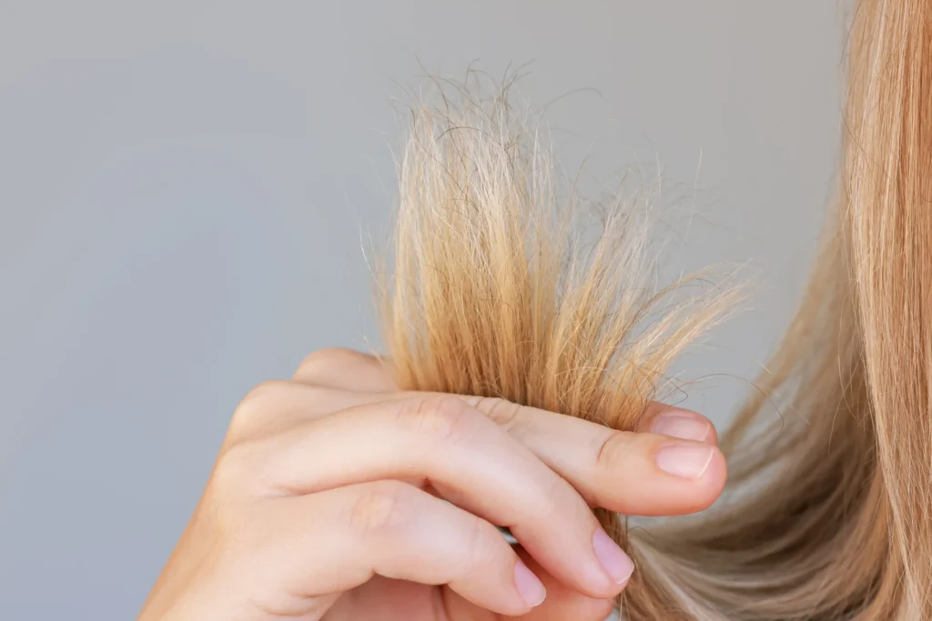 Primer plano de puntas abiertas que muestran el daño en la cutícula del cabello.